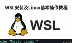 Featured image of post WSL 安装及 Linux 基本操作教程